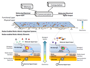 REBIONICS