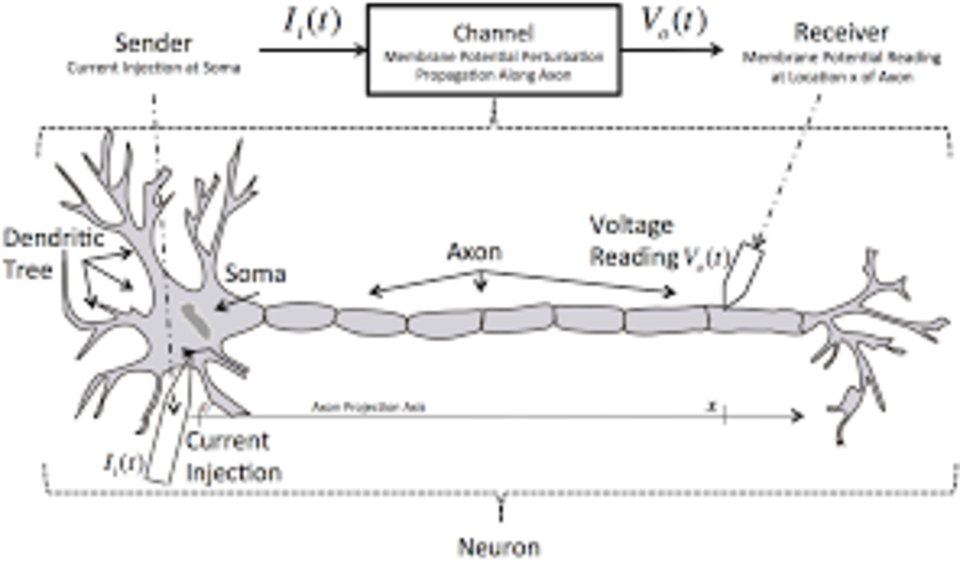 Neurotelnet